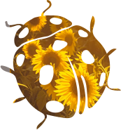 ladybird-sunflowers